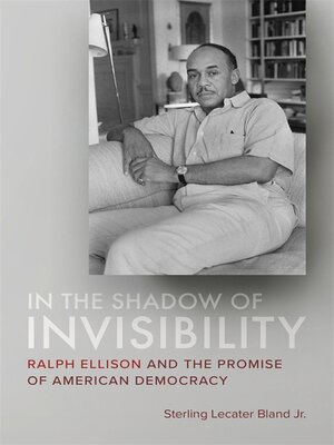 cover image of In the Shadow of Invisibility